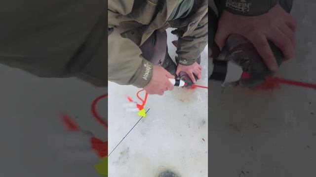 14/02/2026 смотреть онлайн