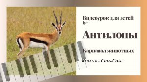 Карнавал животных. "Антилопы" видеурок из Онлайн-курса. Камиль Сен-Санс
