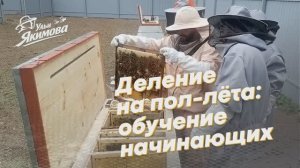 Деление на пол‑лёта: обучение начинающих