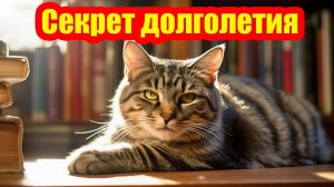 Питание из холодильника: секрет долголетия вашей пушистой любимицы