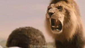 Dj Polkovnik - Камерное техно🎵🔥Жесткие приключения, после