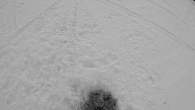 Рыбалка зимой на Байкале 9.02.2026. Диалоги на рыбалке.