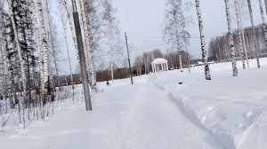 Февраль в парке