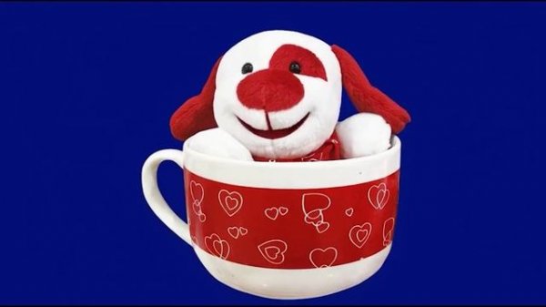 собака в кружке_encoded