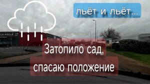 Сад затопило после дождей: простое решение проблемы