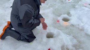 Поимки форели !!!