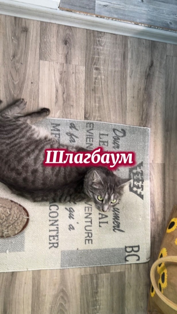 Не выпускает с балкона