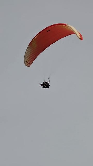 А вот и первый подарок на день рождения 🎉