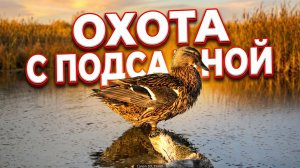 Весенняя охота с подсадной уткой #5 \ В гостях у Веры