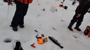 14.02.26 г. РК Волна.