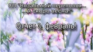 СП "Вязальный переполох...А скоро весна!!!". Отчет 3, февраль!