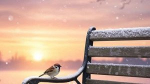 14-02-2026 Жизнь в деревне 🏡. Занимаюсь посевной. Цветы радость жизни.