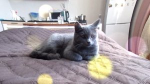 Мой проект 1 2026-02-14_13-55-29