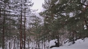 Новости из мира финансов