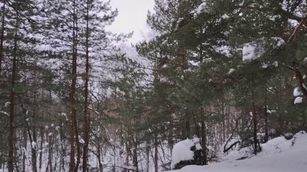 Новости из мира финансов