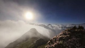 Истомилась душа 
сл. А. Лукашин  муз.Ю. Бойков.