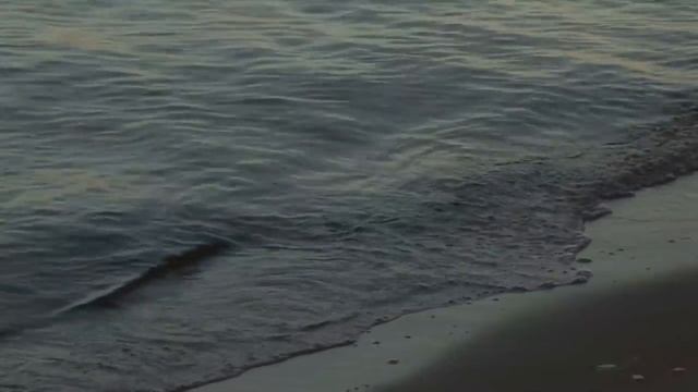 времена года_ песня на стихи Олега Танцюра,музыка и исполнение Олега Сапегина