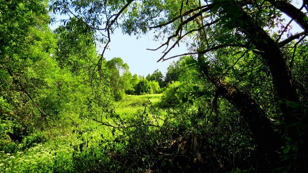 Любимое время года смотреть онлайн