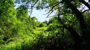 Любимое время года