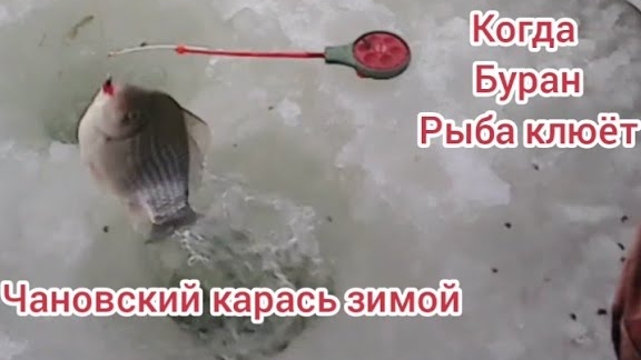 рыбалка на озере чаны, ловим карася зимой.. смотреть онлайн