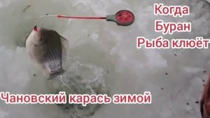 рыбалка на озере чаны, ловим карася зимой..