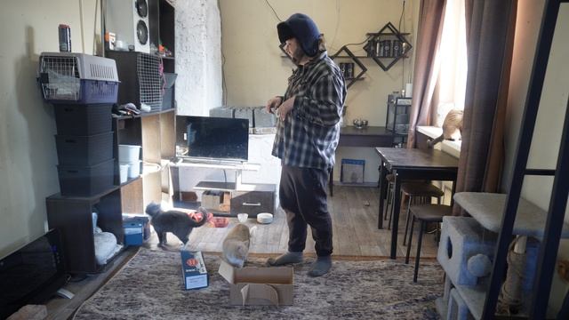 Утро в забытой деревне Сибири Обошел участок и накормил птиц и животных ПОДВАЛ ИЛЬИЧА блог о жизни смотреть онлайн