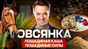 Овсянка - лошадиная еда или суперфуд бессмертия?