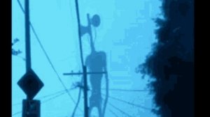 СЕРЕНОГОЛОВЫЙ