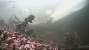 1000009808.mp4Волга гл 2м.14.02.2026г.