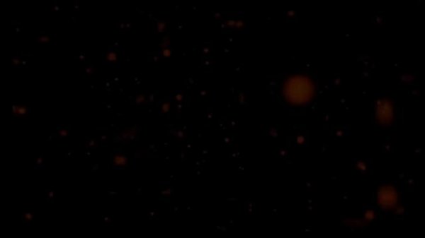 На осле катаются ровно до тех пор,пока не купят лошадь.