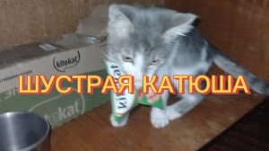 ШУСТРАЯ КАТЮША