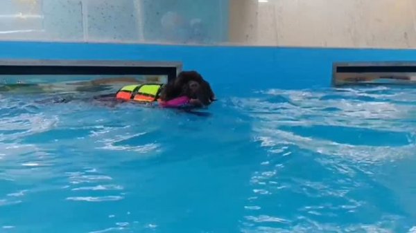 А вокруг суета...