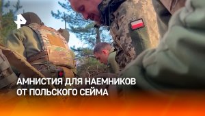 Сейм Польши разрешил полякам воевать на Украине