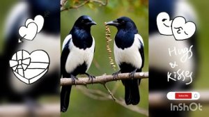 С 14 ФЕВРАЛЯ!