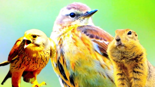 Peder. B Helland - Our Future Remix Beautiful Calm Relaxing Music