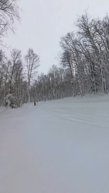 Покатушки в Губахе Insra360x3