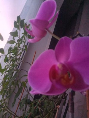 кофиек с утра