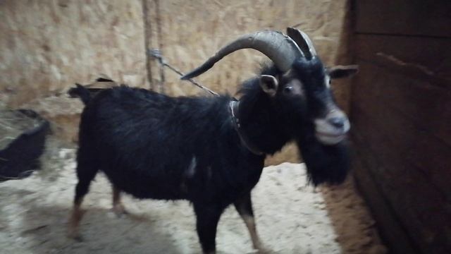 VID_20260213_192507.mp4