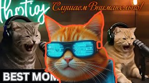 Подкаст Котов - Разбор