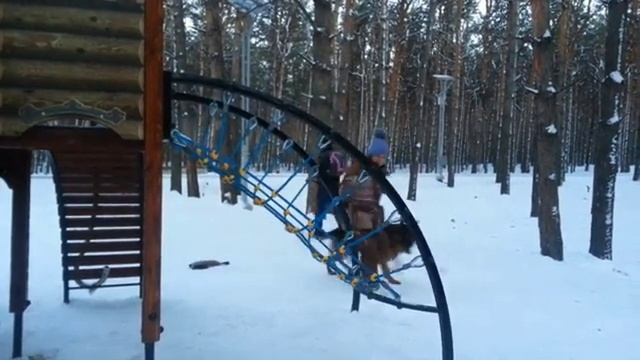 Дрессировка Кане-Корсо смотреть онлайн