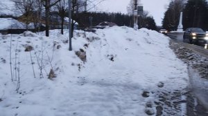 Потепление. День Влюблённых.