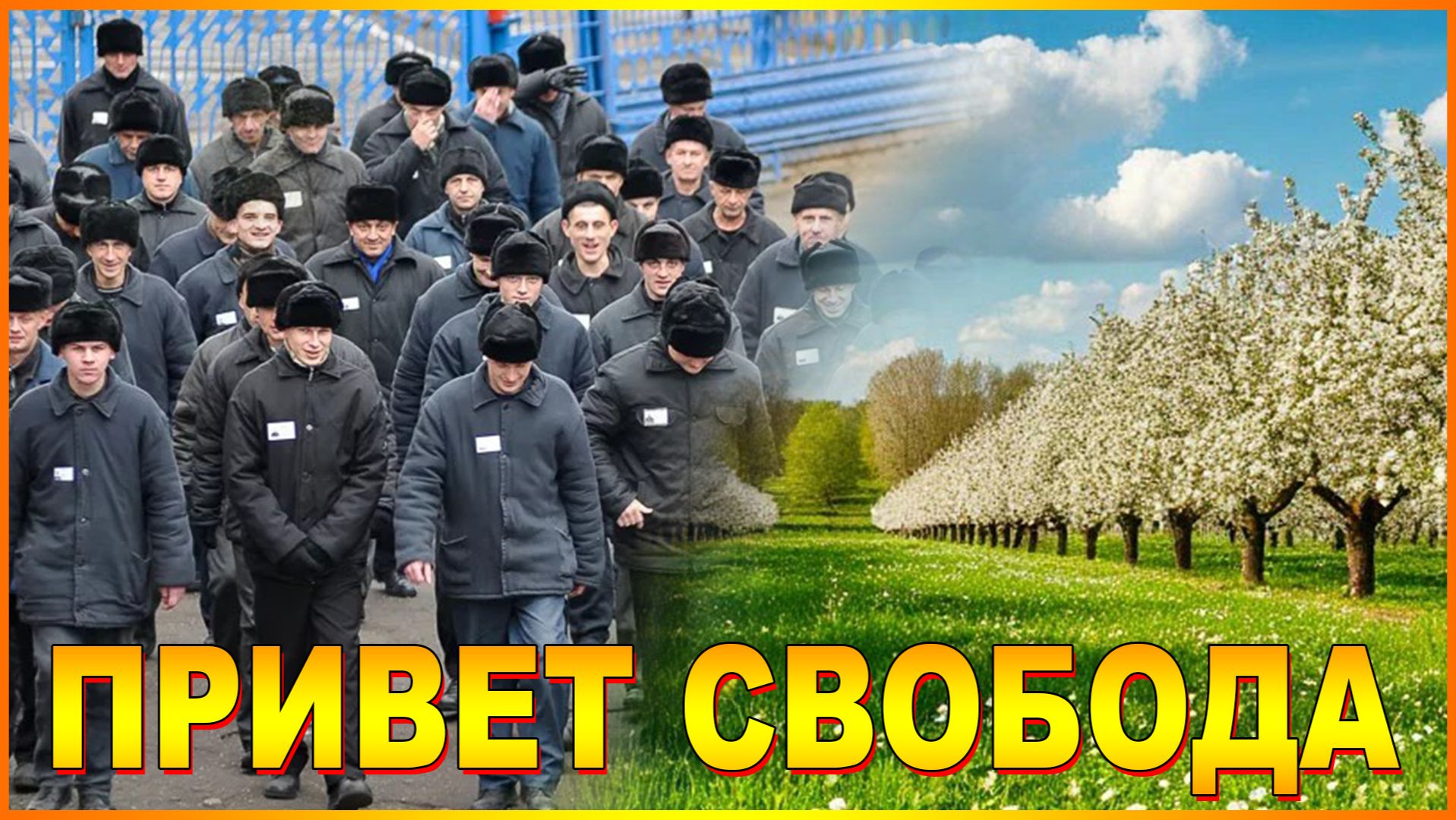 ПРИВЕТ СВОБОДА смотреть онлайн