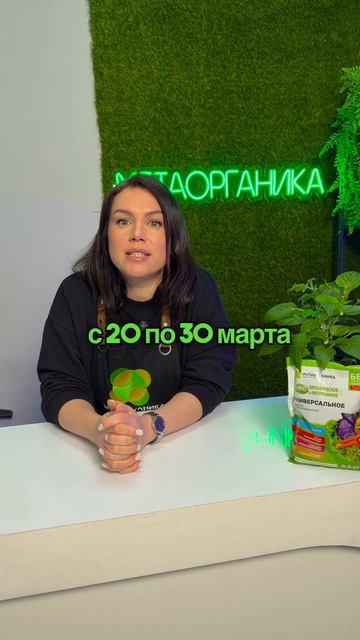 Идеальные сроки посева рассады в 2026 году