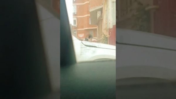 Шкода Октавия