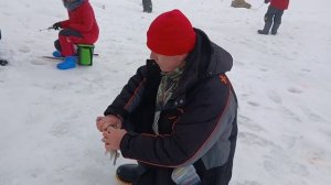 поимка форели на активную снасть