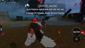 крышу снесло, мне не подарили валентинок...