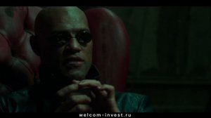 Хотите ли вы знать правду⁉️