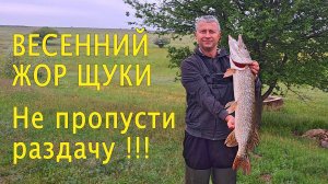 🔥 Весенний ЩУЧИЙ ВЗРЫВ! Две огромные щуки на один воблер, всего за час. Сумасшедшие поклевки! 🔥