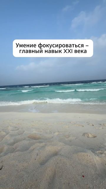 Внимание – новая валюта 👇 #мотивация #заработок #деньги #успех #бизнес #здоровье Внимание – новая валюта 👇 #мотивация #заработок #деньги #успех #бизнес #здоровье