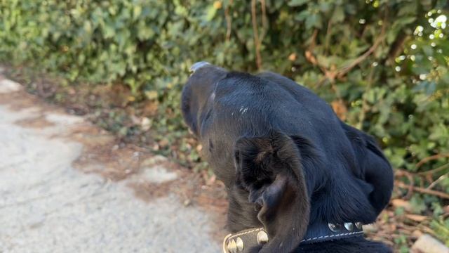 ДУХВМАТ. Выпуск 4 смотреть онлайн